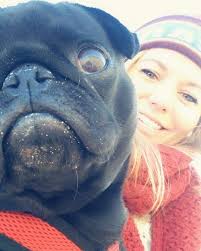 Dana-Farber Cancer Institute