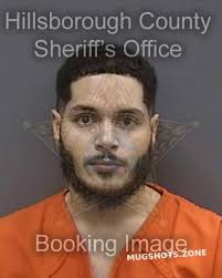 ALBERT ORTIZ CARLOS 02/07/2025