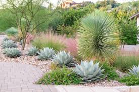 Pin On Landscaping
