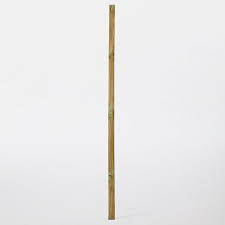 Poteau droit bois finition garde corps royal 7x7x120 cm. Poteau Bois Ombrone Vert 7 X 7 X H 240 Cm Castorama