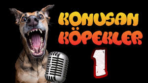 Konusan Kopekler 1 En Komik Kopek Videolari Youtube