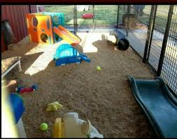 Dog And Kid Play Area Goruntuler Ile Yavru Kopek Hayvan Dekoru Hayvan
