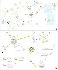 Diet green coffee, sukses menurunkan berat badan ? Molecular Networking Based Lc Ms Reveals Novel Biotransformation Products Of Green Coffee By Ex Vivo Cultures Of The Human Gut Microbiome Springerlink