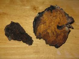 The chaga chunks are a popular variety as they ensure that the chaga is fresh and most potent. The Three Uses Of Chaga Mushroom 13 Steps With Pictures Instructables