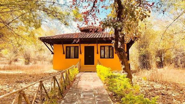 Infinity Bandhavgarh Resort- Tariff Plans, Hotels Review and Online Booking  Services