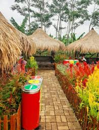 Taman bunga nusantara adalah objek wisata yang letaknya dekat dengan jakarta. Taman Bunga Pandeglang Pelangi Di Daratan Yang Mempesona
