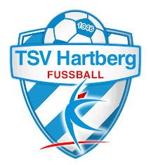 It shows all personal information about the players, including age, nationality, contract duration and current market. Mannschaftsfoto Tsv Hartberg