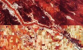 Image result for tbn:SQJ1tCP2zcLTgM::www.cbc.ca/news/background/toronto-bomb-plot/gfx/raza-060605.jpg