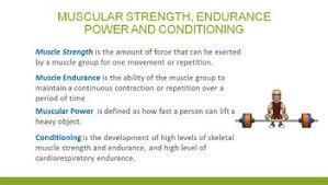 Muscular Strength And Endurance Powerpoint Presentation Muscular Strength Muscular Strength Exercises Powerpoint Presentation