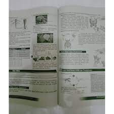 Semua ukuran dalam gambar satuannya sama. Buku Kelas 6 Sd Mi Usbn Proyeksi Spektra Usbn Shopee Indonesia