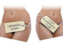 Image result for 'Designer vagina'