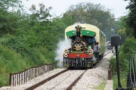 Whistling Indian Rail ...