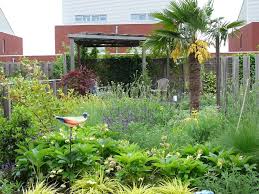 wilde tuin met palmbomen houten overkapping met matten en losse beplanting ontwerp en foto vicas tuinontwerpen www vicas nl tuin tuinontwerp palmboom