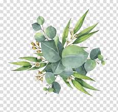 This image appears in searches for. Gum Trees Euclidean Leaf Flower Watercolor Green Leaves Green Leaf Plants Transparent Background Png Clipart Nohat Free For Designer