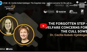 Swine it #131: Dr. Lisa Becton: ASF keeps getting closer to US borders. Are  we prepared to effectively stop it?