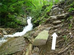 Gone Hikin Glen Onoko Falls Broad Mountain Lehigh Gorge State Park And Sgl 141 Pa Gorges State Park State Parks Waterfall