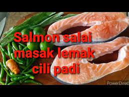 Ikan salmon merupakan salah satu jenis ikan penggunaan yang tergolong popular di dunia ini, hal itu kerana tidak luput dari kandungan gizi ikan salmon yang sangat baik untuk kesihatan kita. Salmon Salai Masak Lemak Cili Padi Youtube