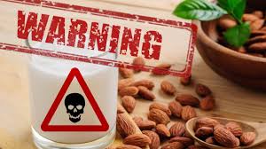 If it has an abnormal smell, like a smell of sour milk, its probably bad. Warning Toss Out Your Almond Milk It S Bad For You Youtube