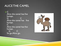 Alice the camel traditional children's song lyrics and sound clip performed by two of a kind. Resource Notebook Guitar And Recorder Van Baum Table Of Contents Guitarrecorder Resource List Song Log Classroom Materials Resource List Song Log Classroom Ppt Download