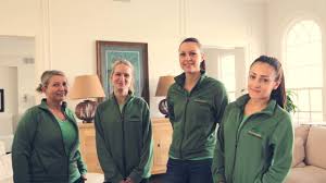 When you require the very best in industrial as well as. Ecosparkle Natural Organic Chemical Free Home Window Cleaning In The York Region Gta