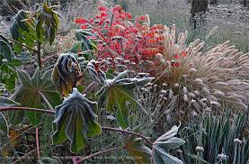 Jurgen Becker Garden Photographer Garten Becker