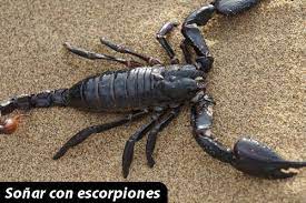 Que Significa Sonar Con Escorpiones No Sabes Esto