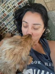 Family in NJ seeking to adopt another dachshund into their loving home