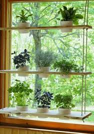 Colgante Window Plants Herb Garden In Kitchen Indoor Plants
