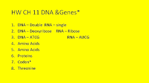 Proteins from dna to protein chapter 13 all proteins consist of polypeptide chains a linear sequence of chapter 6 meiosis and mendel vocabulary practice somatic cell egg genotype gamete polar answer: 103 Protein Synthesis Transcription 11 2 Obj Tsw