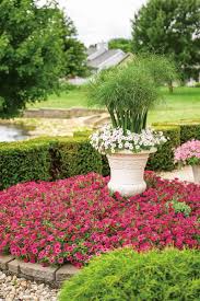 Supertunia Vista Fuchsia Petunia Hybrid Plants Garden Design Landscape Design