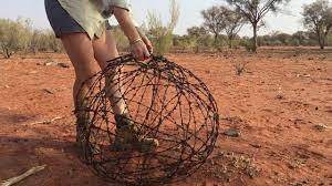 See more ideas about wire art, barbed wire art, wire. Part 3 Making Barb Wire Ball It S Really Coming Together Youtube