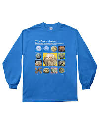 Image result for Thesium asterias