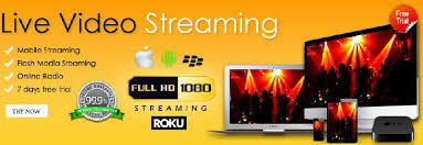 Services Web Design Company California From Chennai Tamil Nadu India By Mslive Streaming Id 3741992