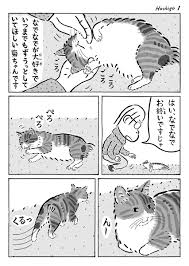 猫 の 菊 ちゃん