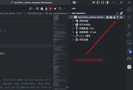 调试项目| Embedded IDE For VSCode