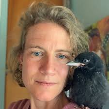 Meandering Realms, an unconventional materials comics anthology! by Filipa  Estrela