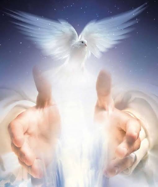 Spiritual Experience with a White Dove