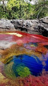 Ab 50€ portofrei, versand innerhalb 24h, 100 tage retoure, über 1 mio. Rio Cano Cristales Colombia Prirodnye Chudesa Puteshestviya Po Yuzhnoj Amerike Ozera