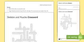 Write your crossword entry on the left & the associated clue on the right. Ks3 Skeleton And Muscles Crossword Teacher Made