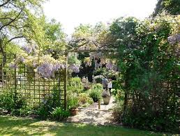 Wymondham Open Gardens Norfolk The National Uk Open Gardens Directory