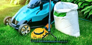 If you neglect spring lawn care, you will pay for it the rest of the year. Florida Spring Lawn Care Tips Living Color