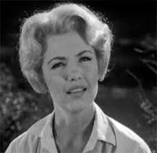 Television's New Frontier: The 1960s: Shotgun Slade (1960)