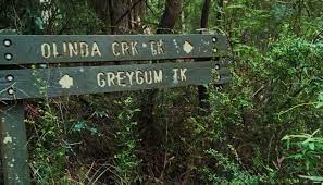 Maybe you would like to learn more about one of these? Olinda Creek Walking Track Silvan To Mt Evelyn Dog Friendly
