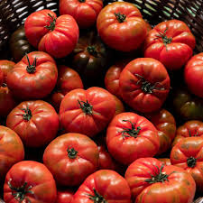 Außerdem können sie mit dem lebensmittelrechner zutaten kombinieren, den kaloriengehalt eines ganzen gerichts oder die kalorienaufnahme pro tag berechnen. Schnell Gewicht Verlieren Kann Man Mit Der Tomaten Diat Abnehmen Fit For Fun