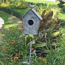 Eva solo 571048.0 mangeoire à oiseaux pour fenêtre de disque, volume 90 ml, transparent. Magnifique Nichoir Oiseaux A Planter