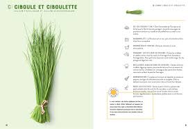 L'herbier savor conserve ciboulette, persil, ou basilic 3 fois plus longtemps. Herbes Aromatiques Les Connaitre Les Choisir Les Cuisiner French Edition Collectif 9782017089407 Amazon Com Books