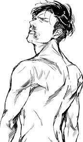 Pin On Reference Drawing