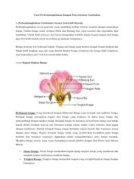 Maybe you would like to learn more about one of these? Cara Perkembangbiakan Sampai Penyerbukan Tumbuhan