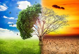 ¿qué tiene que ver la radiación solar con este fenómeno? Las Enfermedades Que Provoca El Cambio Climatico Stop Cambio Climatico
