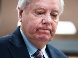 Ruggable x Gracie Collection